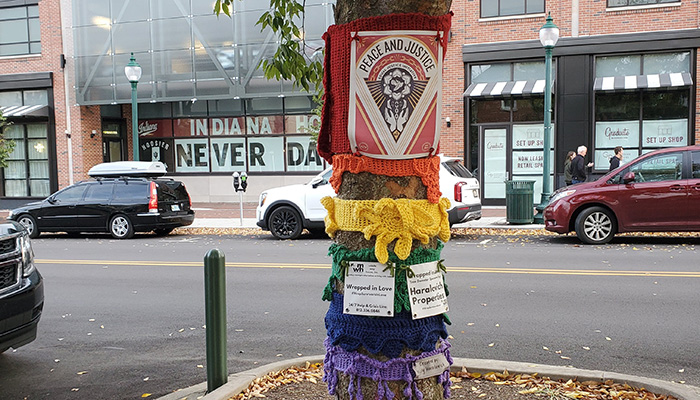 tree wrapped with yarn creation