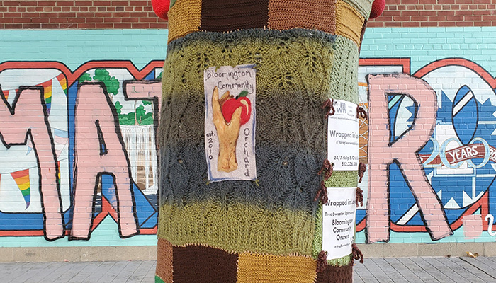downtown tree wearing a sweater