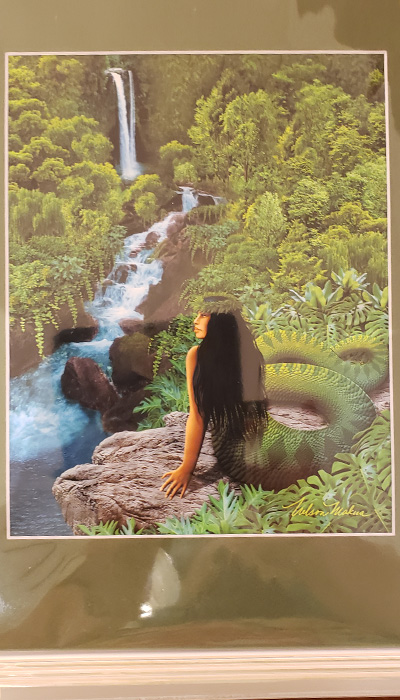 hawaiian mermaid