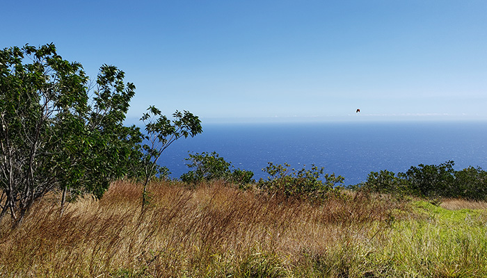 view of the ocean from the rim of the volcano