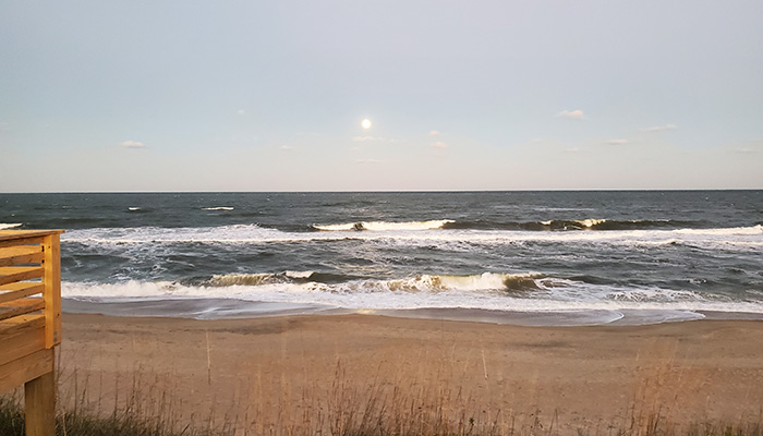 the beach at Duck, NC