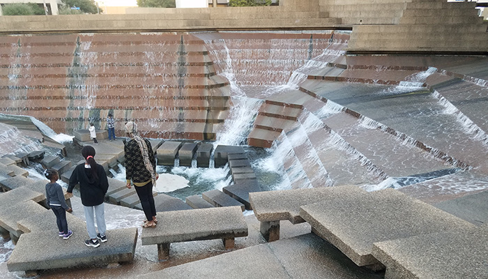 water garden